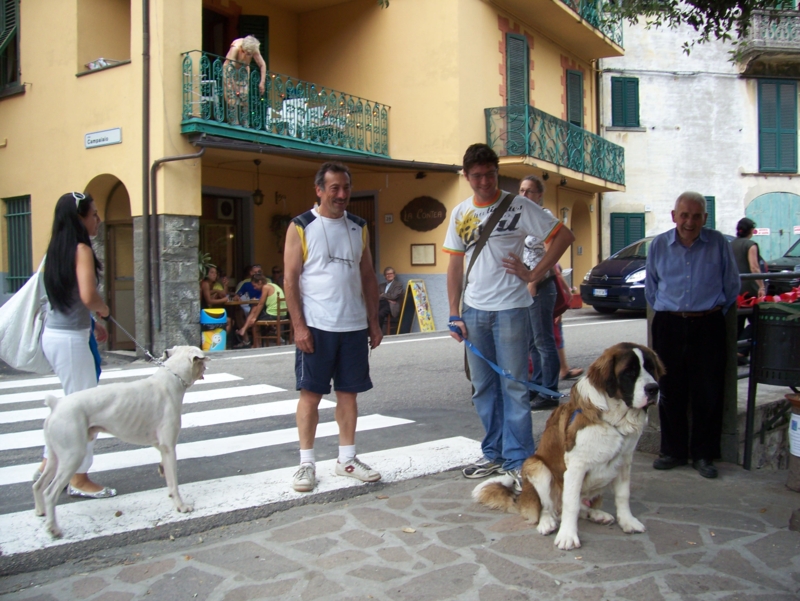  Image name: Persone027.jpg 
 width: 800 pixel 
 height: 601 pixel 
 Size: 393575 bytes 
 Click to enlarge 